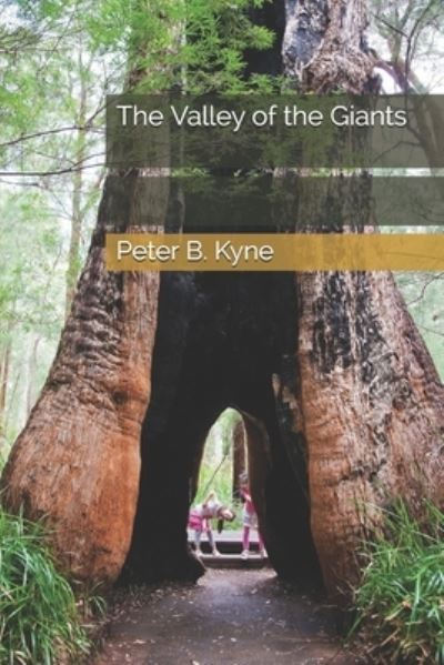 Cover for Peter B Kyne · The Valley of the Giants (Paperback Book) (2021)