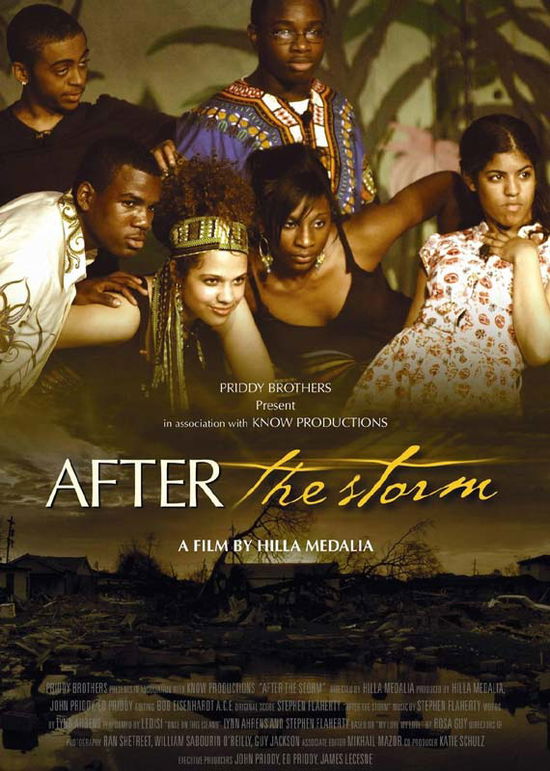 Cover for After the Storm (DVD) (2011)