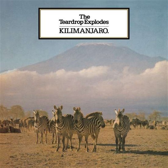 Cover for Teardrop Explodes · Kilimanjaro (LP) [Reissue, High quality edition] (2021)