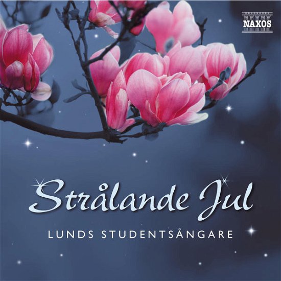 Stralande Jul - Paulson,Mats / Lunds Studentsangare - Muziek - Naxos - 0747313030576 - 1 december 2006
