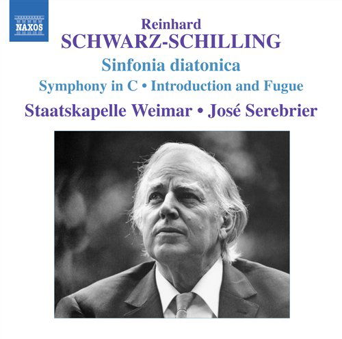 Cover for Schwarz-Schilling · Orchestral Works (CD) (2008)