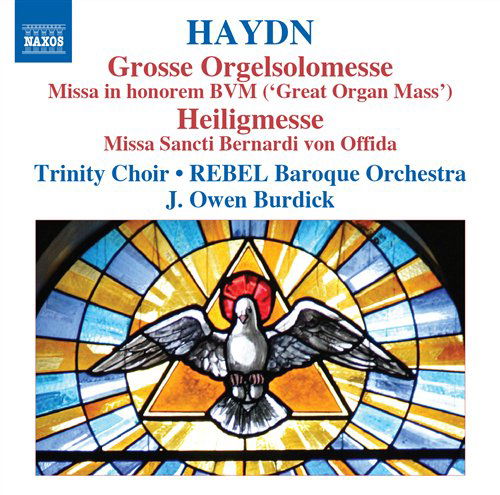 Masses Vol.5:Grosse Orgelsolomesse - Franz Joseph Haydn - Muziek - NAXOS - 0747313212576 - 12 oktober 2010