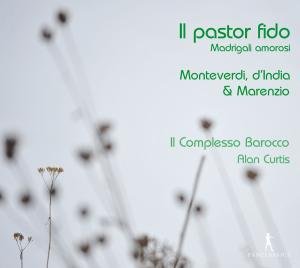 Cover for Monteverdi / Curtis · Il Pastor Fido Madrigali Amor (CD) (2012)