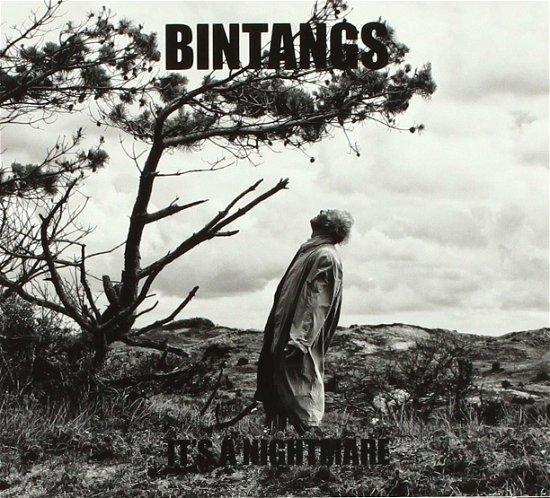 Cover for Bintangs · It's A Nightmare (LP) (2018)