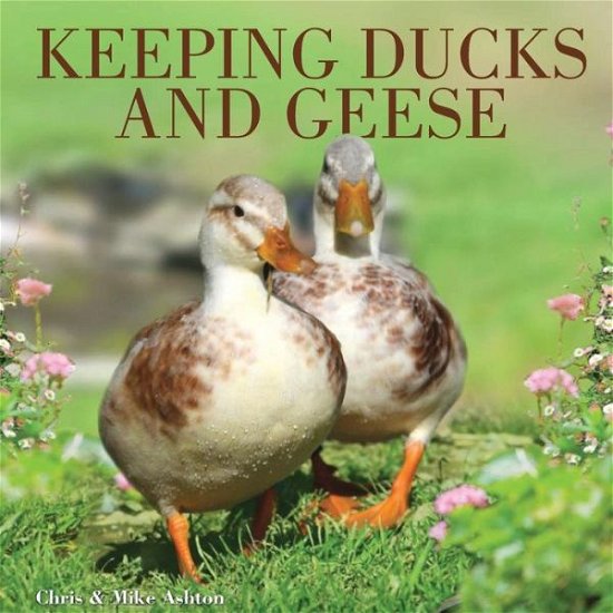 Cover for Ashton, Chris and Mike · Keeping Ducks and Geese (Paperback Bog) (2009)
