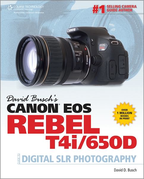 Cover for David Busch · David Busch's Canon EOS Rebel T4i/650D Guide to Digital SLR Photography (Paperback Book) (2012)