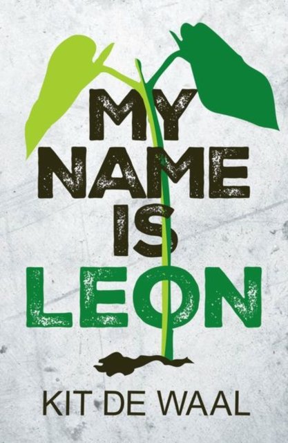 Cover for De Waal · Rollercoasters: My Name is Leon (Paperback Book) (2024)