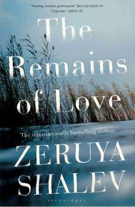 Cover for Zeruya Shalev · The Remains of Love (Taschenbuch) (2014)