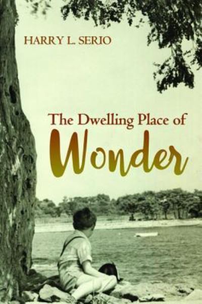 Cover for Harry L Serio · The Dwelling Place of Wonder (Paperback Book) (2016)