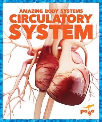 Cover for Karen Latchana Kenney · Circulatory System - Amazing Body Systems (Hardcover Book) (2019)