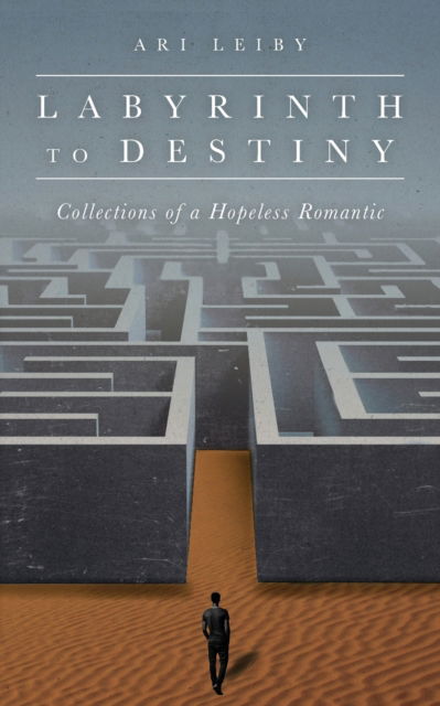 Labyrinth to Destiny - Ari Leiby - Books - Palmetto Publishing Group - 9781641118576 - August 4, 2020