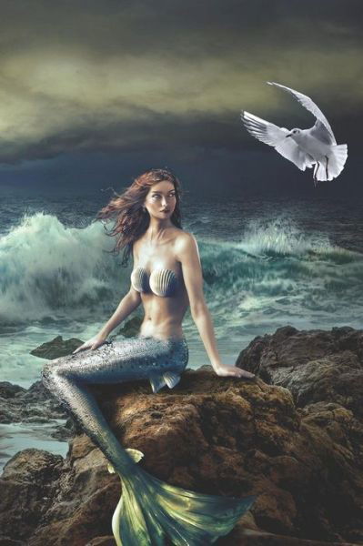 Mermaid on the Rocks Diary - Pagan Essentials - Libros - Independently Published - 9781798500576 - 1 de marzo de 2019