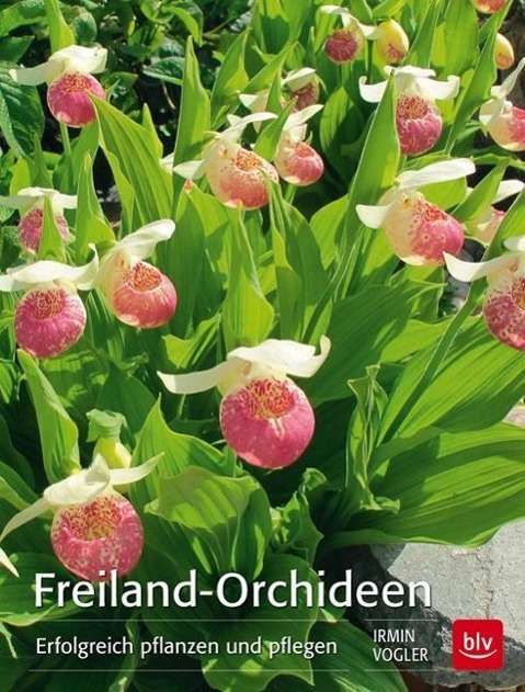 Cover for Vogler · Freiland-Orchideen (Buch)