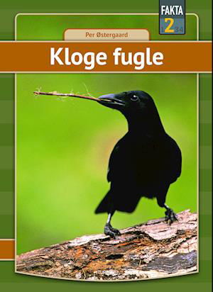 Cover for Per Østergaard · Fakta 2: Kloge fugle (Hardcover bog) [1. udgave] (2022)