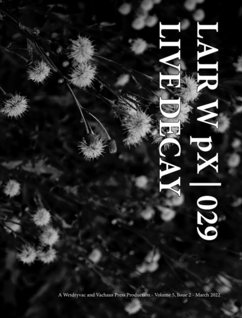 Cover for Wetdryvac · LAIR W pX 029 Live Decay (Hardcover Book) (2024)