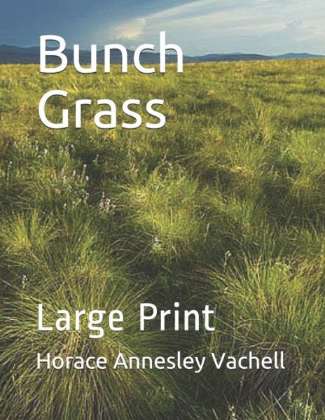 Cover for Horace Annesley Vachell · Bunch Grass (Paperback Book) (2021)