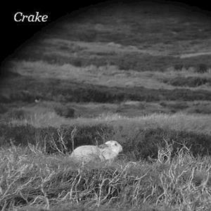 Cover for Crake · Enough Salt (for The Dogs) / Gef (LP) (2020)