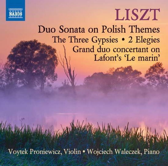 Cover for Liszt / Proniewicz / Waleczek · Music for Violin &amp; Piano (CD) (2014)