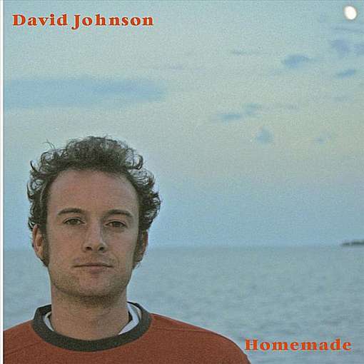 Cover for David Johnson · Homemade (CD) (2011)