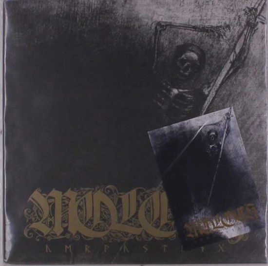 Cover for Moloch · Verwustung (LP) (2016)