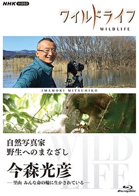 Cover for (Documentary) · Wild Life Shizen Shashinka Yasei He No Manazashi Imamori Mitsuhiko -satoyama Min (MBD) [Japan Import edition] (2022)