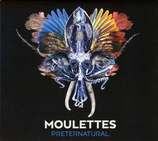 Cover for Moulettes · Preternatural (CD)