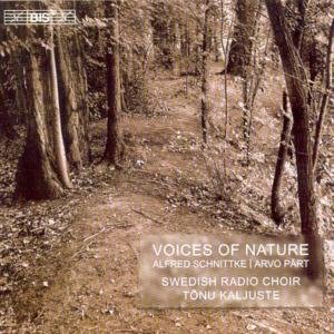 Voices Of Nature - Schnittke / Part - Musik - BIS - 7318590011577 - 6. september 2004