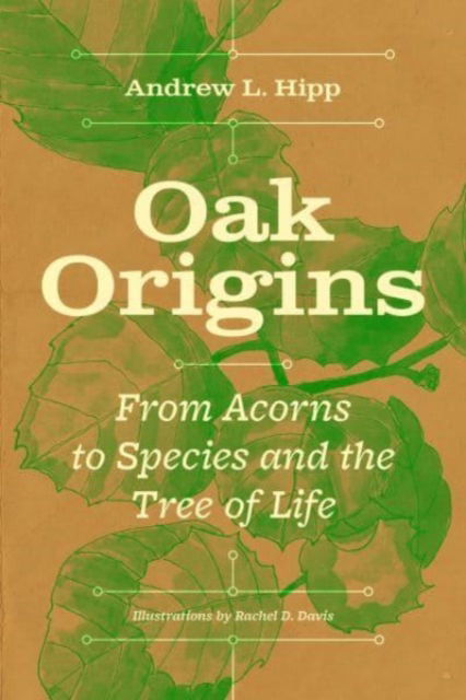 Cover for Andrew L. Hipp · Oak Origins: From Acorns to Species and the Tree of Life (Hardcover Book) (2024)