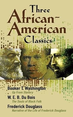 Cover for Robert Allen · Black Awakening in Capitalist America: An Analytical History (Taschenbuch) (2017)