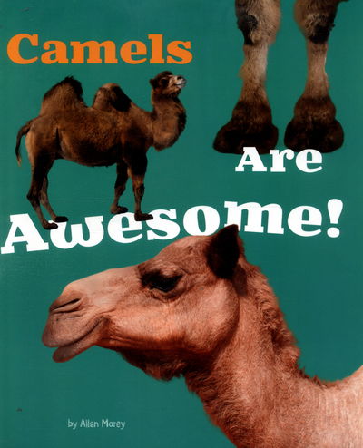 Cover for Allan Morey · Camels Are Awesome! - Awesome Asian Animals (Paperback Book) (2016)