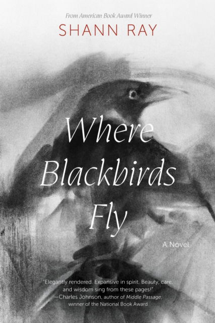 Cover for Shann Ray · Where Blackbirds Fly: A Novel (Paperback Book) (2025)