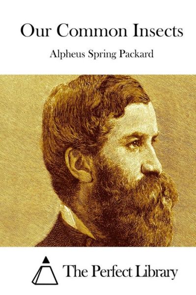 Cover for Alpheus Spring Packard · Our Common Insects (Paperback Book) (2015)