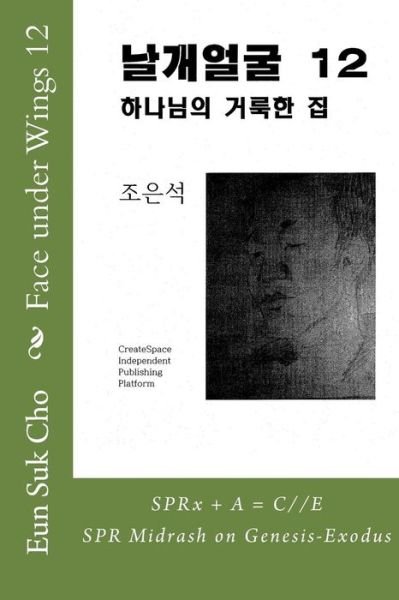 Cover for Eun Suk Cho · Face Under Wings 12 (Paperback Book) (2015)