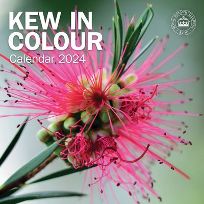 Royal Botanic Gardens Kew, Kew in Colour Square Wall Calendar 2024 ...