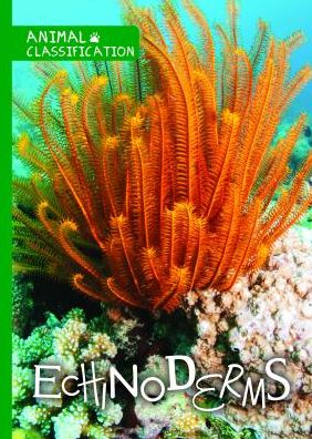 Echinoderms - Joanna Brundle - Books - Kidhaven Publishing - 9781534530577 - July 30, 2019