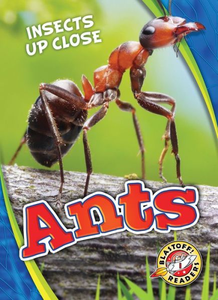 Cover for Patrick Perish · Ants - Insects Up Close (Hardcover Book) (2019)