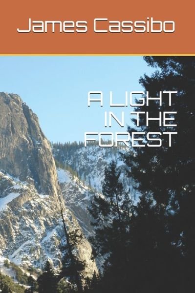 Cover for James Edward Cassibo · A Light in the Forest (Paperback Bog) (2019)