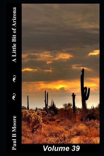 Cover for Paul Moore · A Little Bit of Arizona (Paperback Book) (2018)