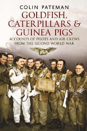 Cover for Colin Pateman · Goldfish Caterpillars &amp; Guinea Pigs: Accounts of Pilots and Air Crews from World War II (Paperback Book) (2021)