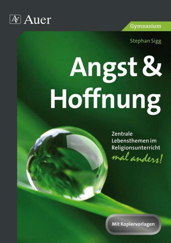 Cover for Sigg · Angst &amp; Hoffnung (Book)