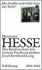 Cover for H. Hesse · Dunkle und wilde Seite d.Seele (Book)