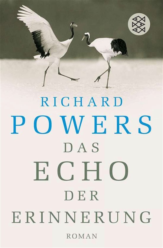 Cover for Richard Powers · Fischer TB.17457 Powers.Echo d.Erinner. (Buch)