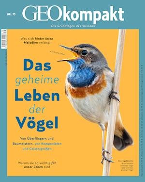 Cover for Geo Kompakt 75 · Das Gehime Leben Der Vögel (Bok)