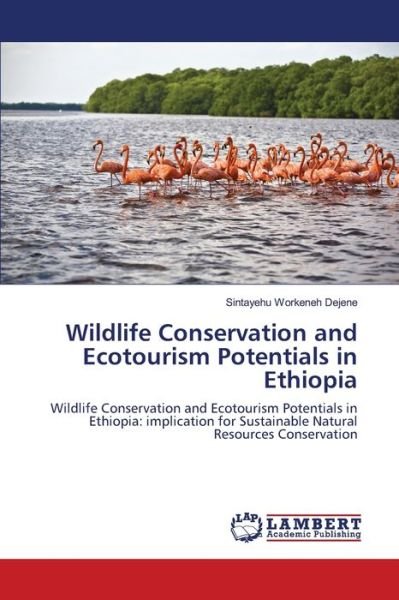 Cover for Dejene · Wildlife Conservation and Ecotou (Bog) (2012)