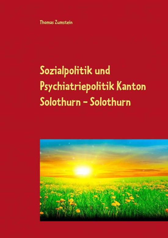 Cover for Zumstein · Sozialpolitik und Psychiatriep (Book)