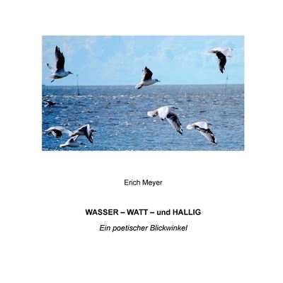 Cover for Erich Meyer · Wasser - Watt - und Hallig (Paperback Book) (2022)