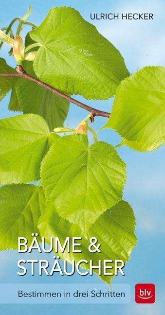 Cover for Hecker · Bäume und Sträucher (Buch)