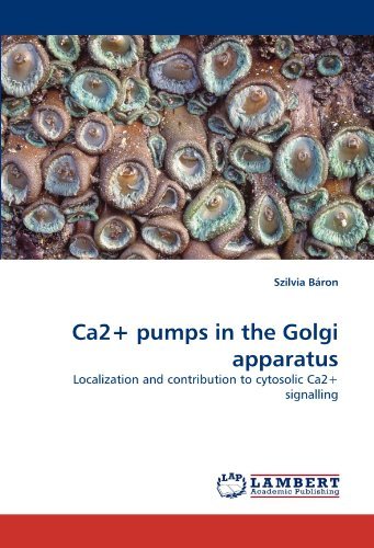 Cover for Szilvia Báron · Ca2+ Pumps in the Golgi Apparatus: Localization and Contribution to Cytosolic Ca2+ Signalling (Paperback Book) (2010)