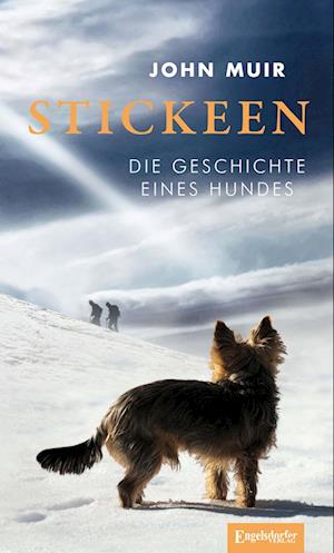 Stickeen - John Muir - Books - Engelsdorfer Verlag - 9783969404577 - February 3, 2023