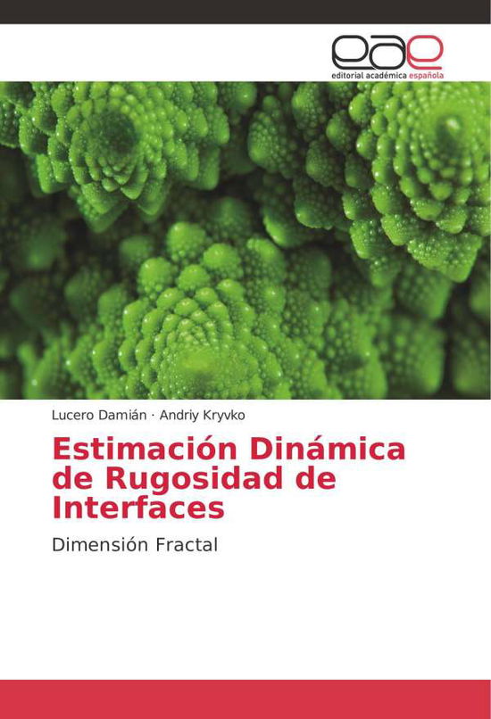 Estimación Dinámica de Rugosidad - Damián - Książki -  - 9786202249577 - 3 stycznia 2018